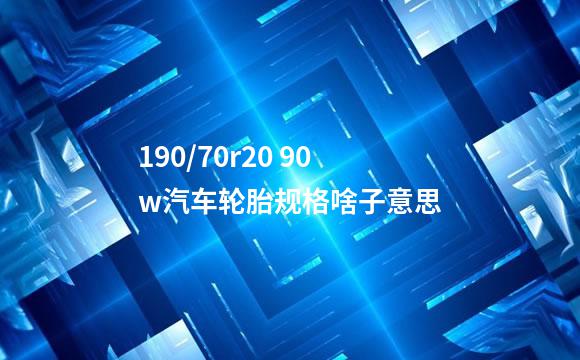 190/70r20 90w汽车轮胎规格啥子意思